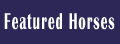 Barrel Horse Racing � Barrel Horse World brings you a huge selection of barrel horses for sale, fresh news, an active forum, Barrel Talk, with famous guest speakers, and equine health articles